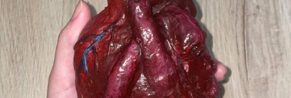 Anatomical Heart Sculpture